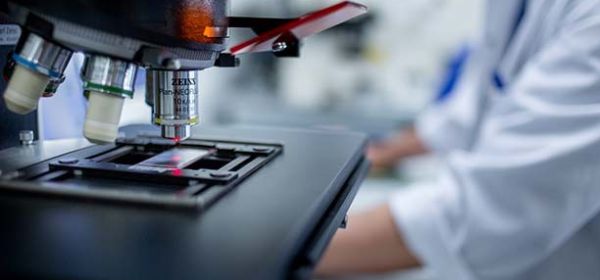 Alarm bei Evotec! BioNTech und Vidac Pharma mit Erfolgen beim Kampf gegen Krebs! Analysten raten zum Kauf!