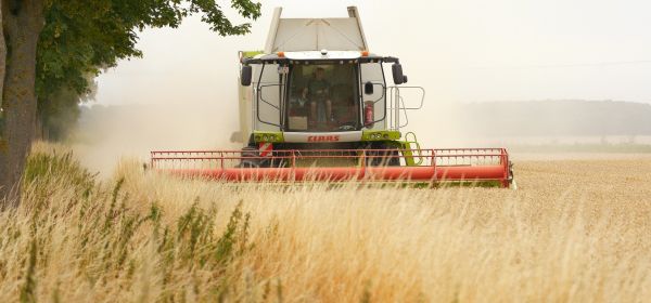 Bayer-Aktie auf der &Uuml;berholspur! Partner MustGrow Biologics vor Neubewertung!