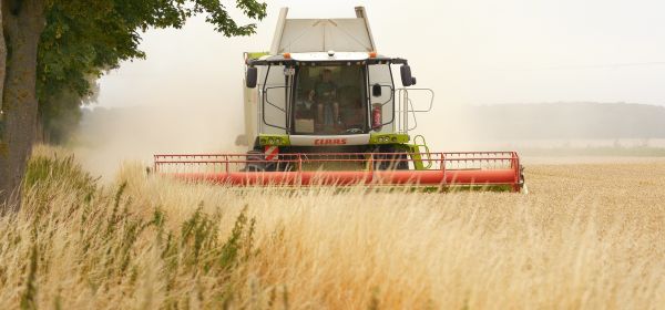 JETZT &uuml;ber 50 % KURSPOTENZIAL!? BioNTech, TUI und Bayer-Partner MustGrow